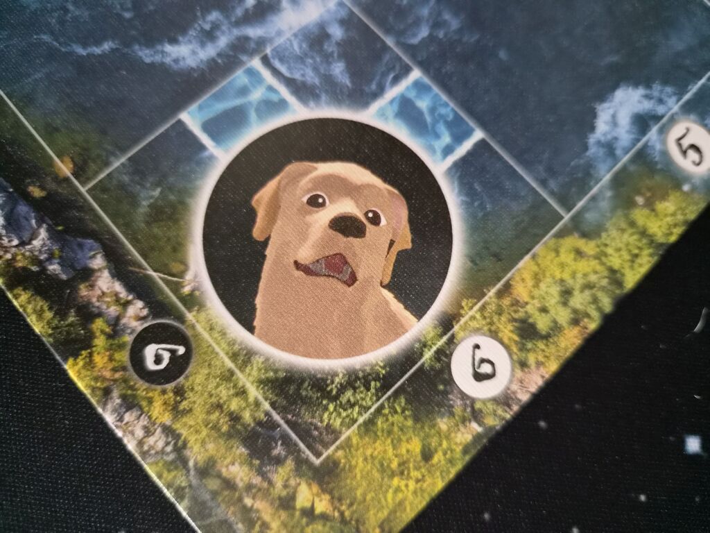 Spielplanausschnitt mit Labrador.