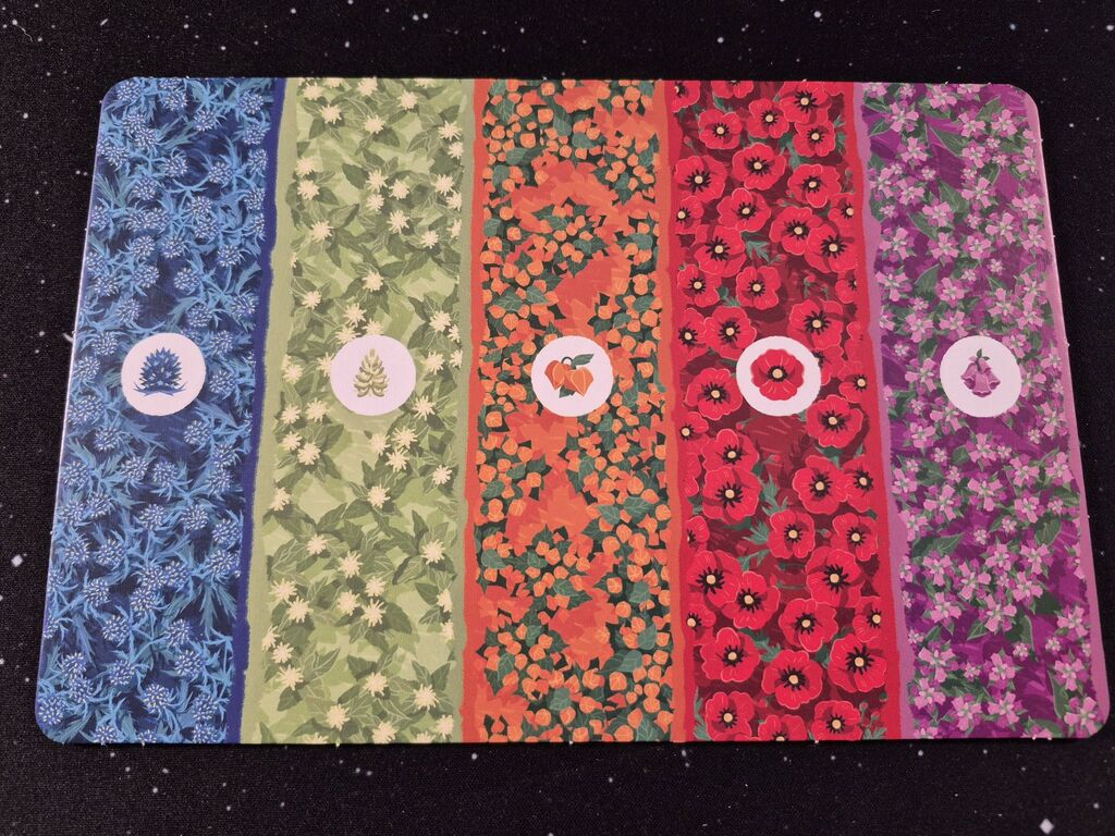 Auslage mit fünf Farbstreifen für fünf Blumenarten.