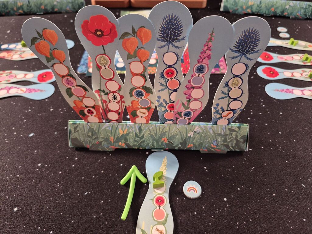 Spielmaterial von "Wildwuchs".
