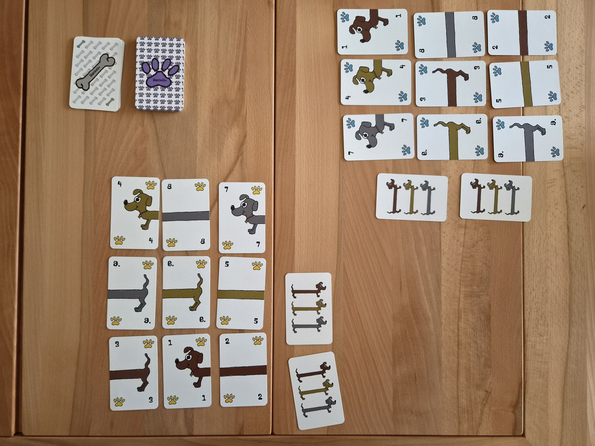 Dackeln: Hunde aufräumen