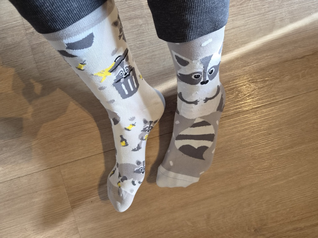 Socken mit Waschbären in Mülltonnen.