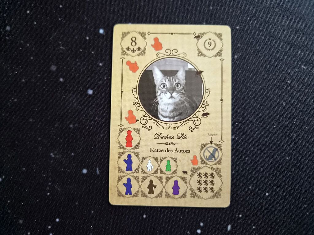 Karte mit Katzenbild und vielen Symbolen.